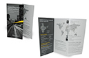 3-fold Thought leadership - Ernst & Young