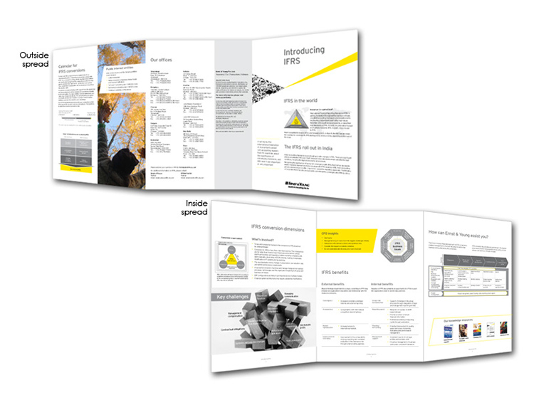 GatefoldMarketingBrochure - Ernst & Young